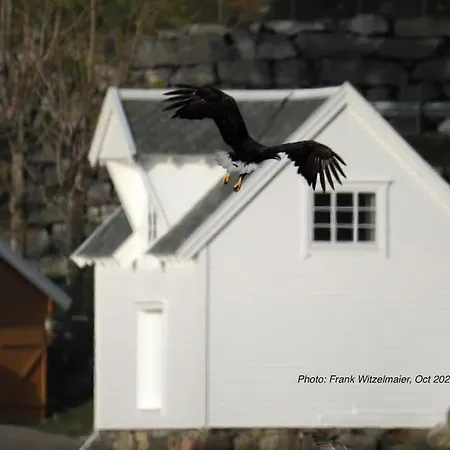 Exclusive Fjord Getaway With Sauna *