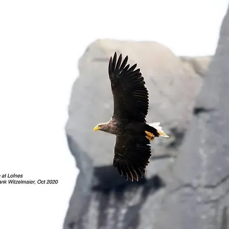 Exclusive Fjord Getaway With Sauna