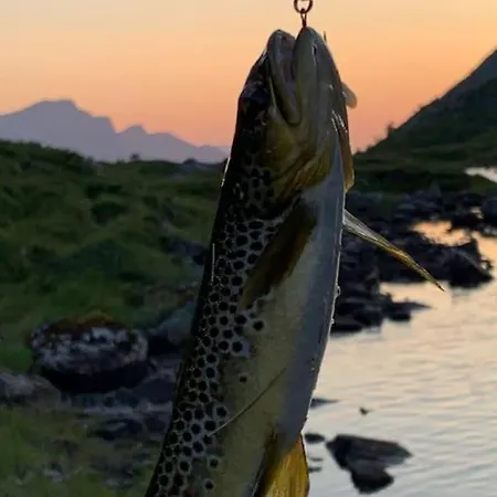 Exclusive Fjord Getaway With Sauna * Leirgulen