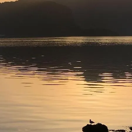 Exclusive Fjord Getaway With Sauna Feriehus *