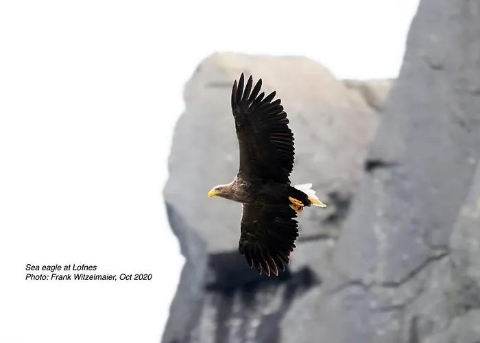 Exclusive Fjord Getaway With Sauna