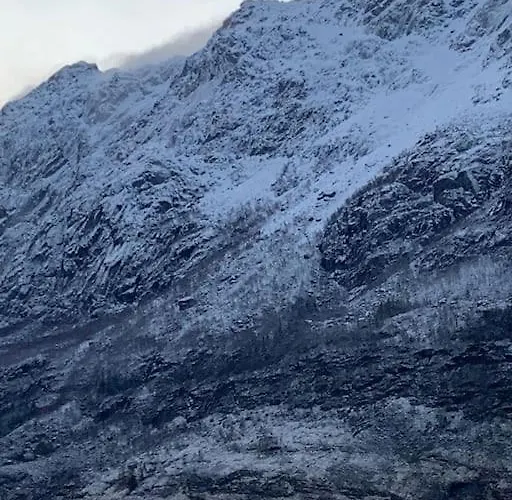 Exclusive Fjord Getaway With Sauna 度假居