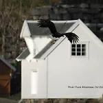 Exclusive Fjord Getaway With Sauna *